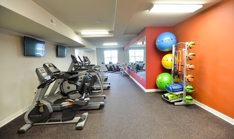 gallery Greyhound Village